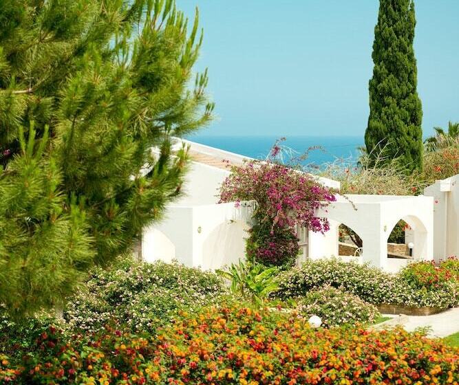 هتل The Olive Tree