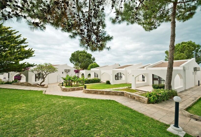 هتل The Olive Tree