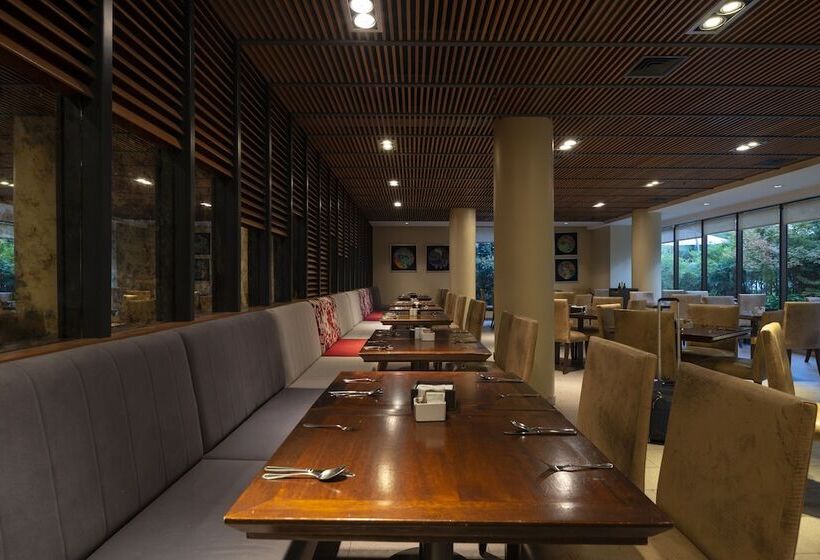 هتل Director Vitacura