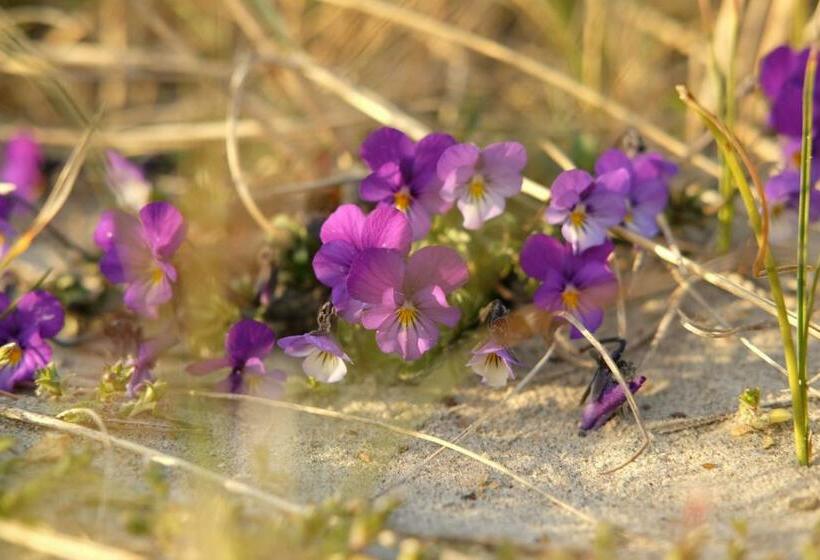 هتل Strandlyst Bade