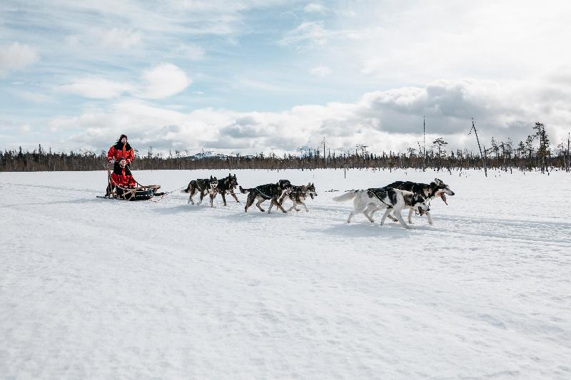 Lapland Hotels Sirkantähti