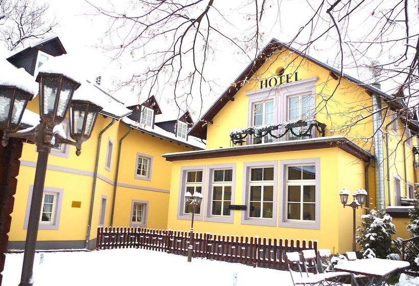 هتل Alttolkewitzer Hof