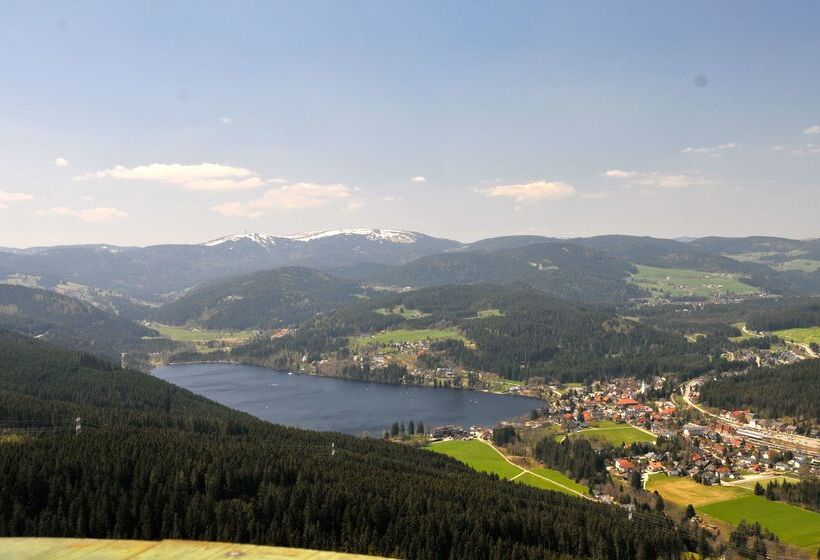 Отель Hofgut Sternen