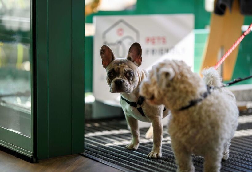 هتل Ambiente Langenhagen Hannover By Tulip Inn