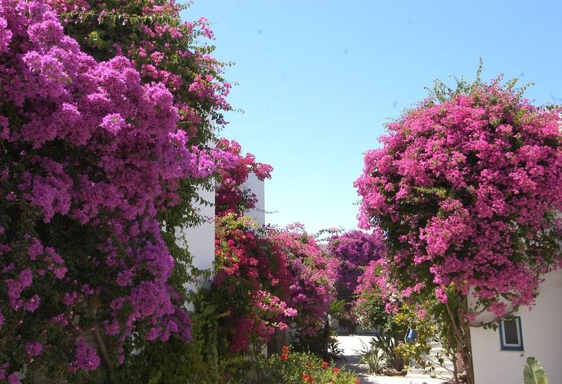 هتل Astir Of Paros