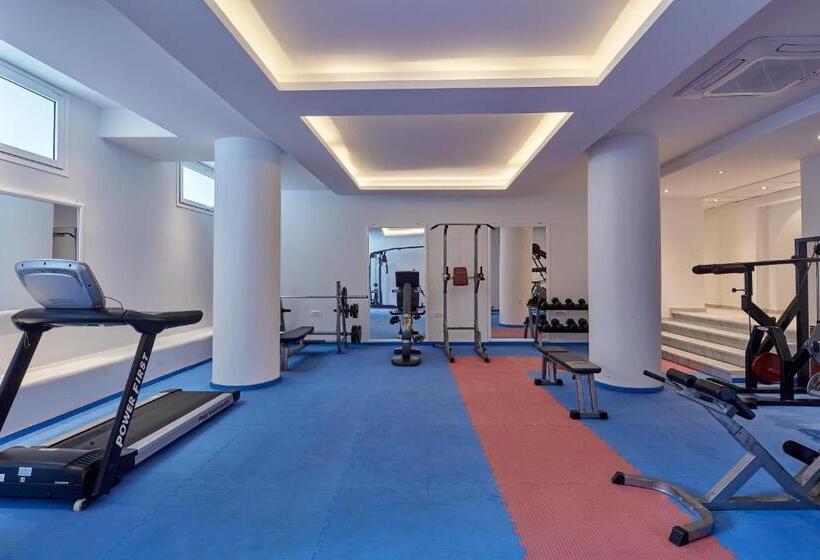 酒店 Santorini Palace