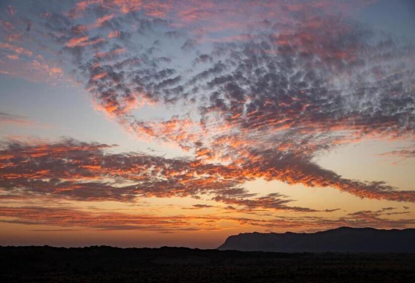 בית מלון כפרי Ramgarh Lodge, Jaipur – Ihcl Seleqtions