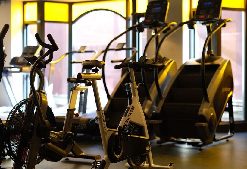 בית מלון כפרי The Alex