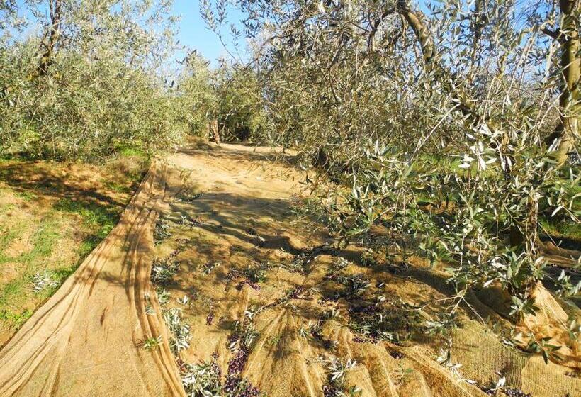 فندق Le Renaie