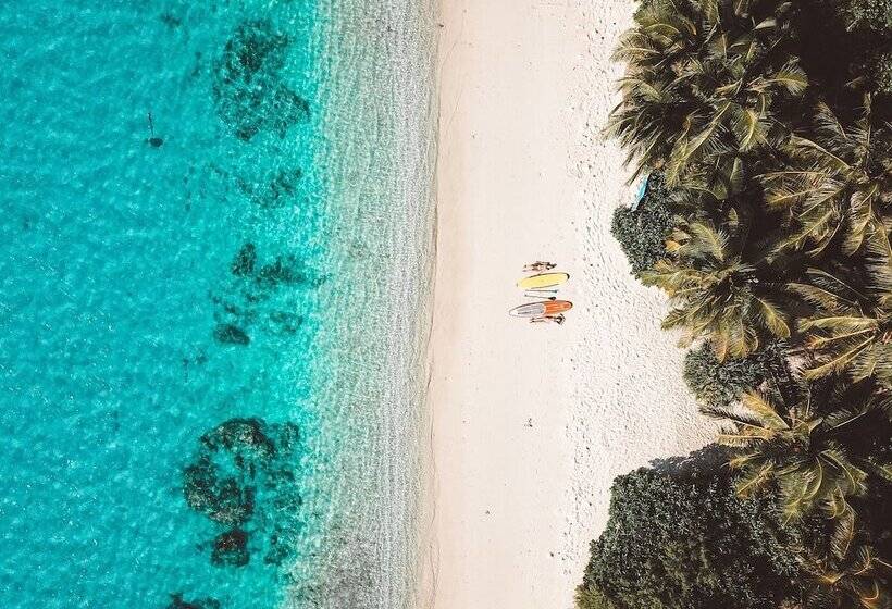 بنسيون Bliss Dhigurah