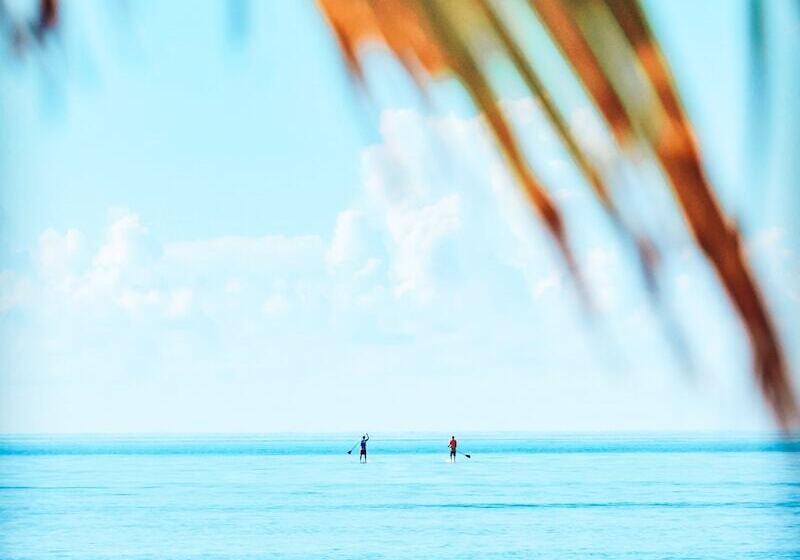 بنسيون Bliss Dhigurah