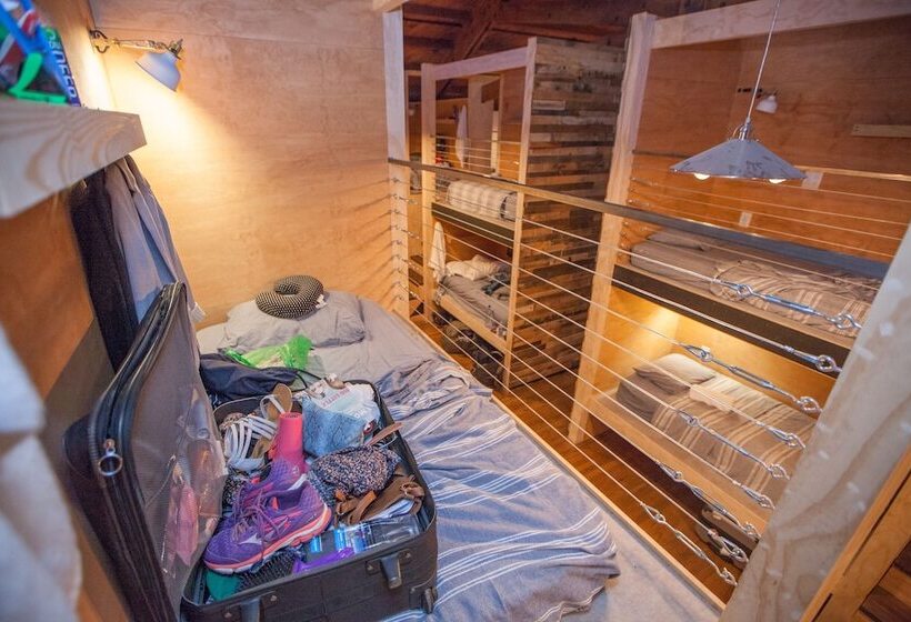 פונדק Podshare Venice