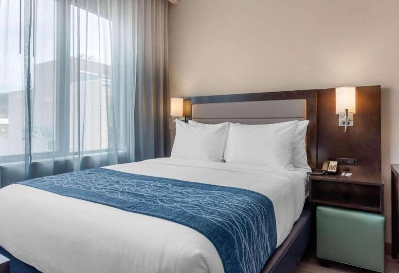 هتل Comfort Inn Prospect Parkbrooklyn