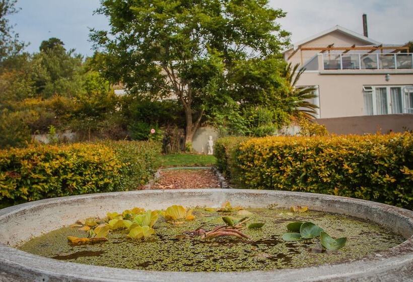 בית מלון כפרי The View Swellendam