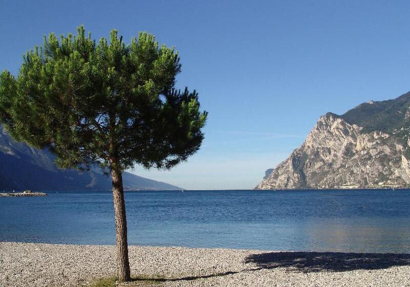 Lake Front Hotel Mirage