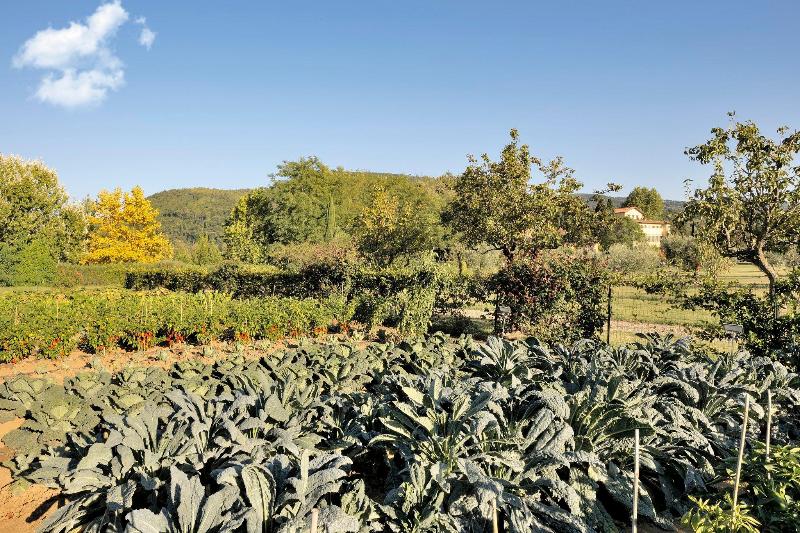 فندق Villa La Massa