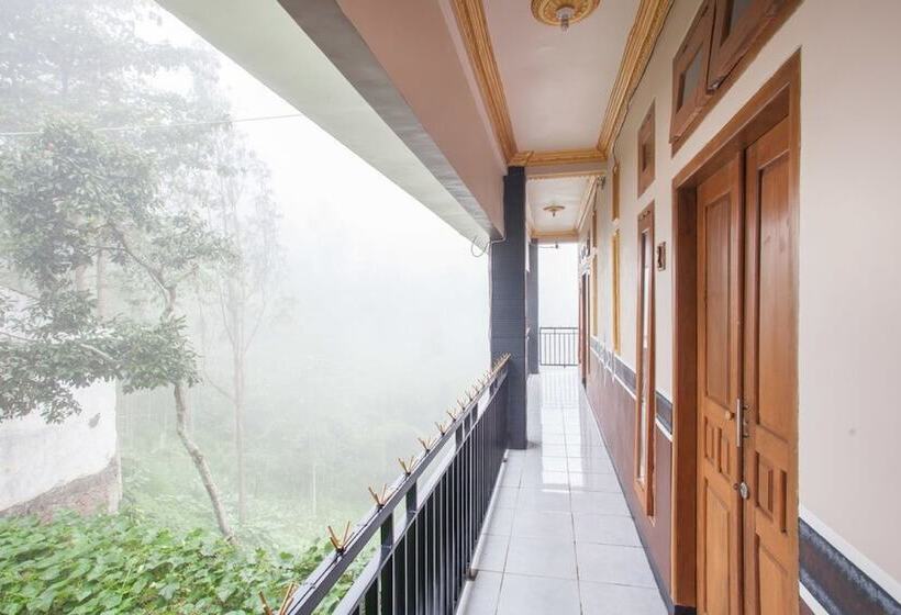 پانسیون Reddoorz @ Bromo Tosari