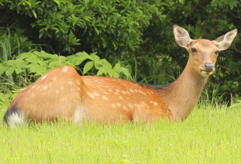 ホテル Hakone Yunohana Prince