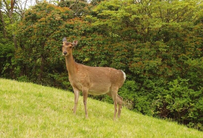 ホテル Hakone Yunohana Prince
