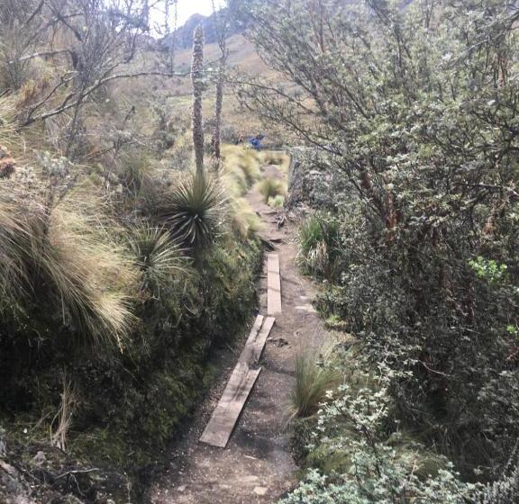 Blue Bird Bed And Breakfast