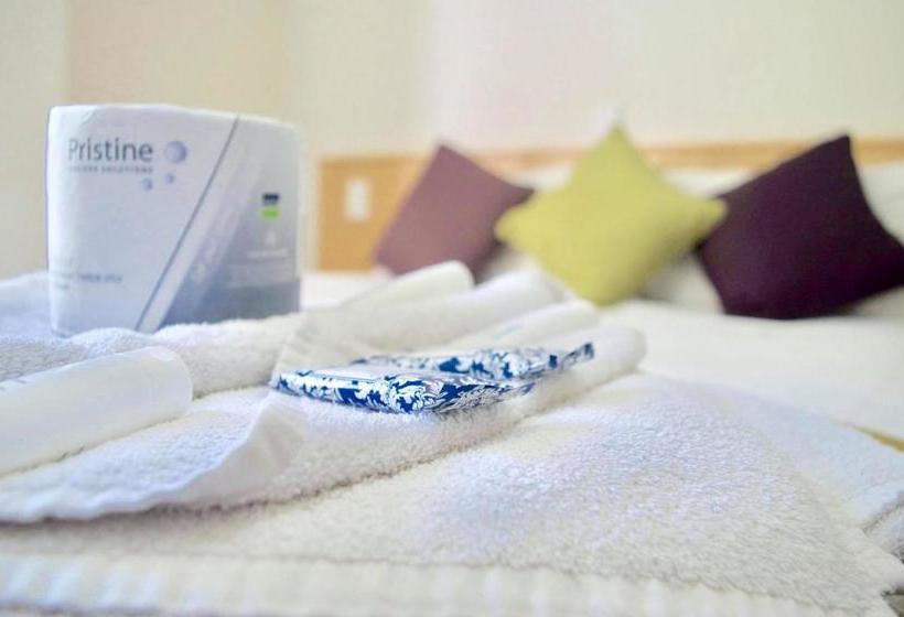 هاستل The Station Backpackers