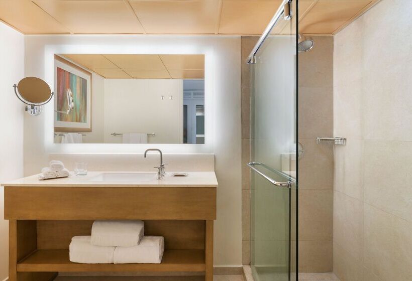 Dreams Curacao Resort, Spa & Casino   All Inclusive