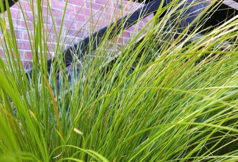 בית מלון כפרי The Hibernian Studio Apartments   4 Latter Street