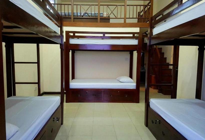 هاستل Sunrise Backpacker