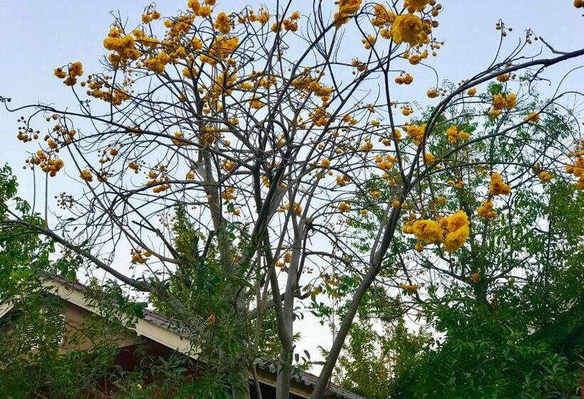 ホテル Baan Suan Rojjana