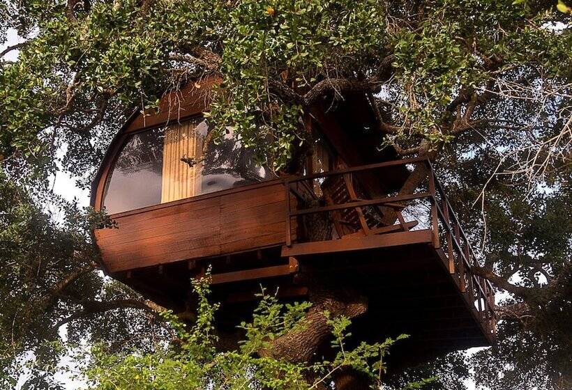 ホテル Leopard Nest   Glamping In Yala