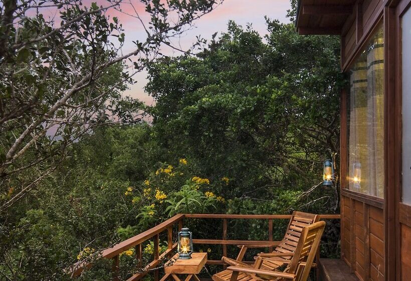 ホテル Leopard Nest   Glamping In Yala