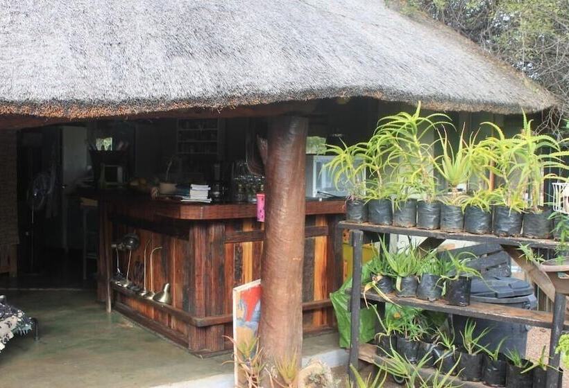 酒店 Grootgeluk Bush Camp