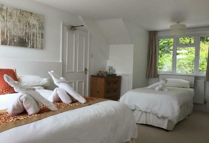 بنسيون Silver Birch Guest House
