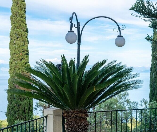 Villa Emily