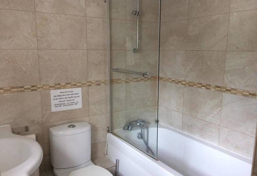 مبيت وإفطار Swan Inn