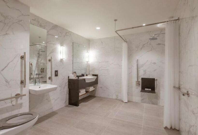 בית מלון כפרי Hyatt Centric The Liberties Dublin