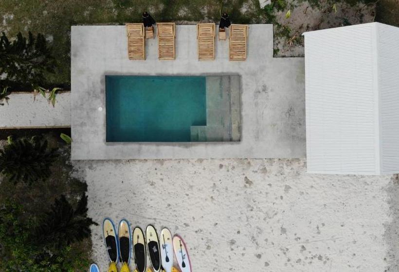 هتل The Palm House