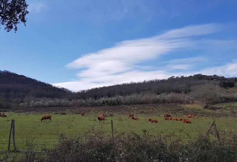 교외 호텔 Agriturismo Bio Fattoria Di Pietra