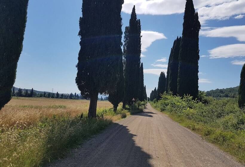교외 호텔 Agriturismo Bio Fattoria Di Pietra