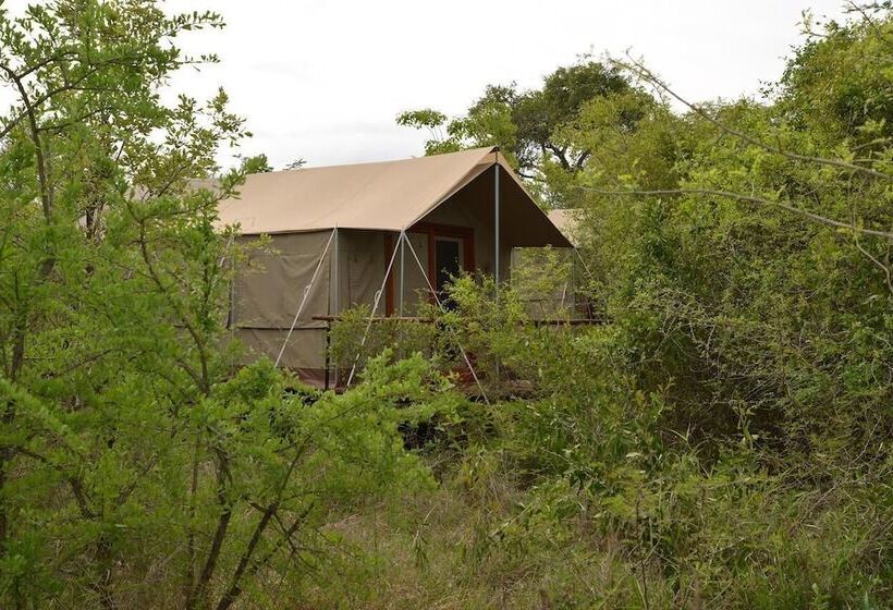 هتل Wild Olive Tree Camp