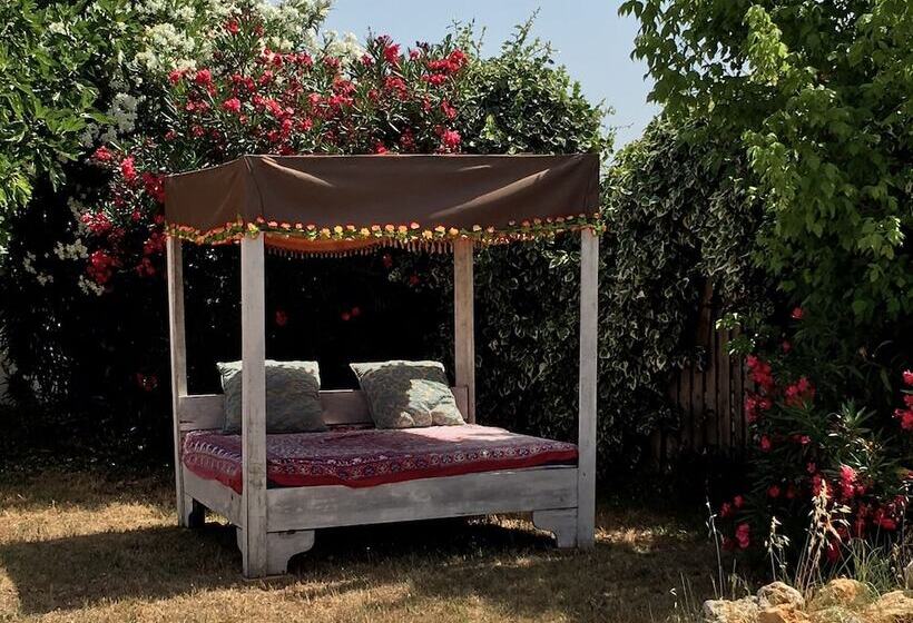 تختخواب و صبحانه Buena Idea   Adults Only
