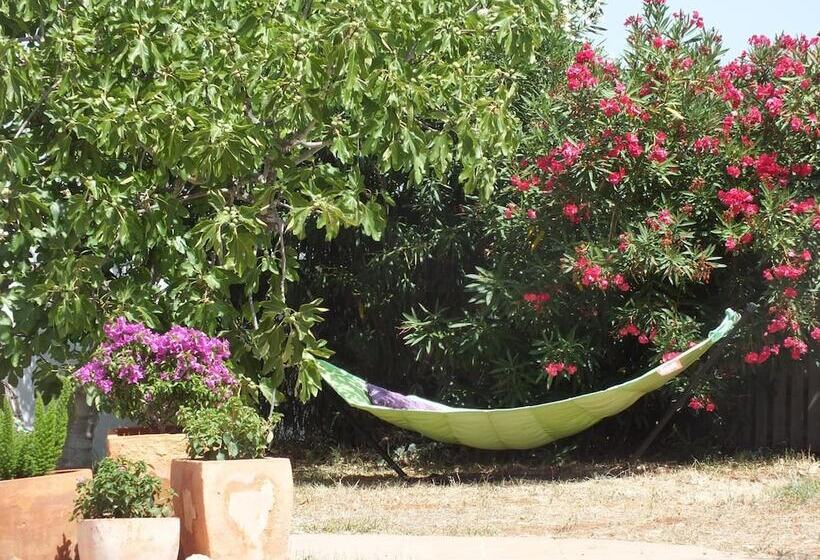 تختخواب و صبحانه Buena Idea   Adults Only