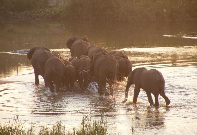 هتل Elephant Walk Retreat