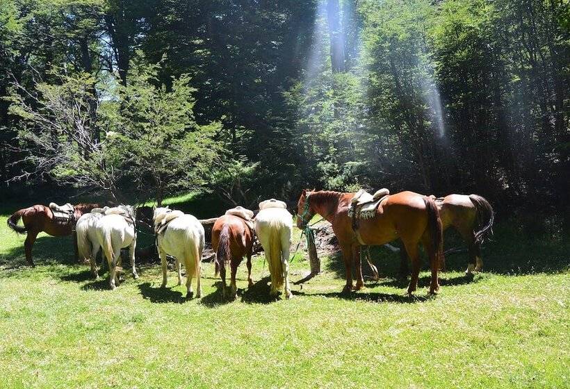 هتل Huemules Reserva De Montana