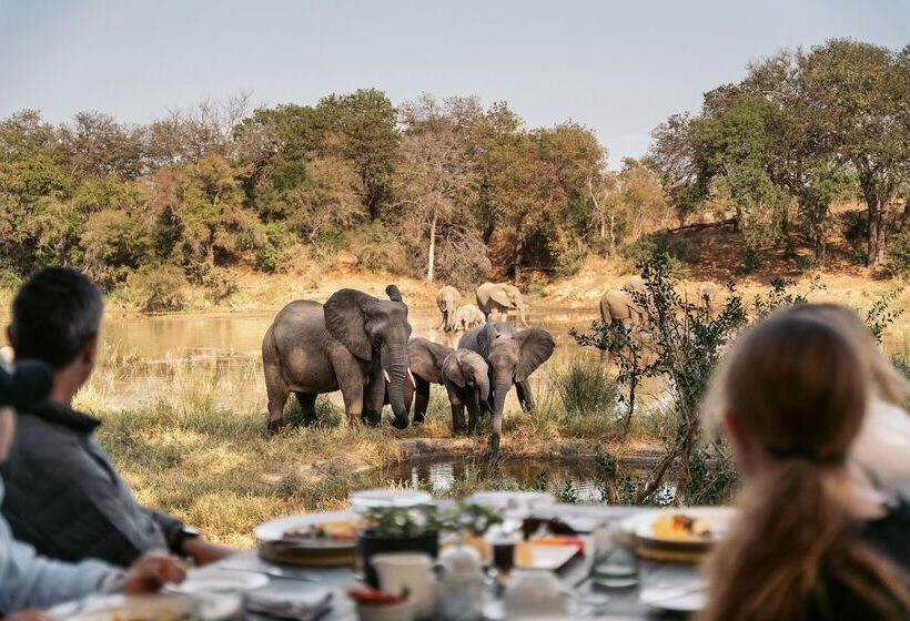 هتل Simbavati River Lodge