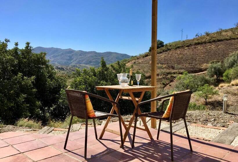 ベッドアンドブレックファースト Apartments Cortijo La Zapatera