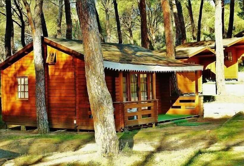 Отель Camping La Ardilla Roja