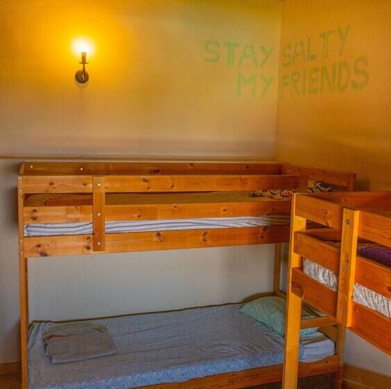 Twin Fin Surf Camp   Hostel