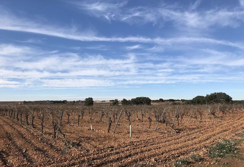 Hostal Rural Los Girasoles De Iniesta