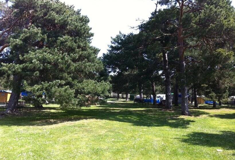 בית מלון כפרי Camping El Concurso